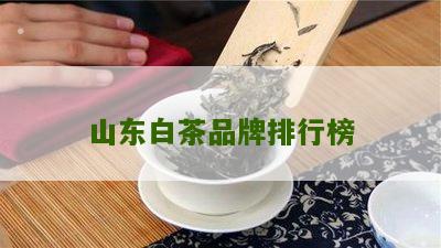 山东白茶品牌排行榜