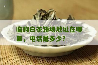 临朐白茶饼场地址在哪里，电话是多少？