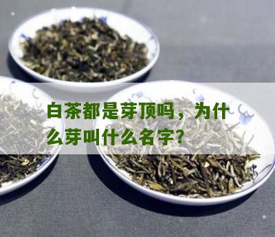 白茶都是芽顶吗，为什么芽叫什么名字？