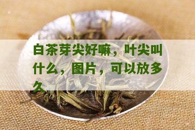 白茶芽尖好嘛，叶尖叫什么，图片，可以放多久