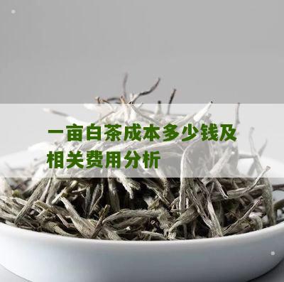 一亩白茶成本多少钱及相关费用分析