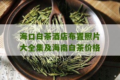 海口白茶酒店布置照片大全集及海南白茶价格