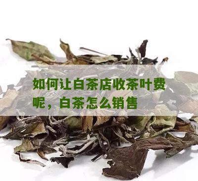 如何让白茶店收茶叶费呢，白茶怎么销售