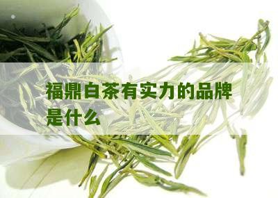 福鼎白茶有实力的品牌是什么