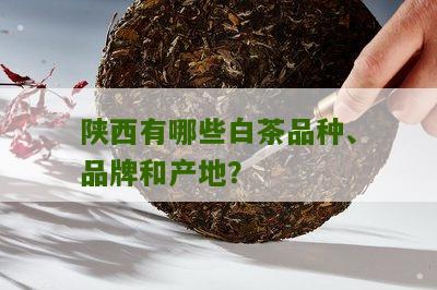 陕西有哪些白茶品种、品牌和产地？