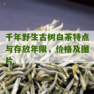 千年野生古树白茶特点与存放年限，价格及图片