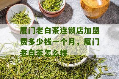 厦门老白茶连锁店加盟费多少钱一个月，厦门老白茶怎么样