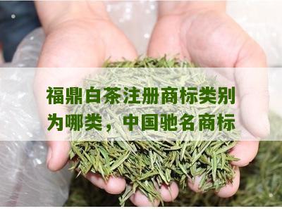 福鼎白茶注册商标类别为哪类，中国驰名商标