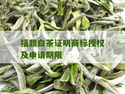 福鼎白茶证明商标授权及申请期限