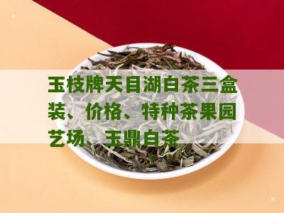 玉枝牌天目湖白茶三盒装、价格、特种茶果园艺场、玉鼎白茶