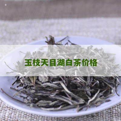 玉枝天目湖白茶价格