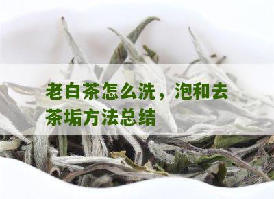 老白茶怎么洗，泡和去茶垢方法总结