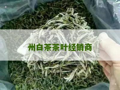 州白茶茶叶经销商