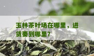 玉林茶叶场在哪里，进货要到哪里？