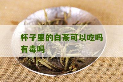 杯子里的白茶可以吃吗有毒吗