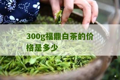 300g福鼎白茶的价格是多少