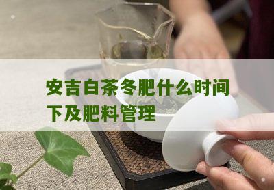 安吉白茶冬肥什么时间下及肥料管理