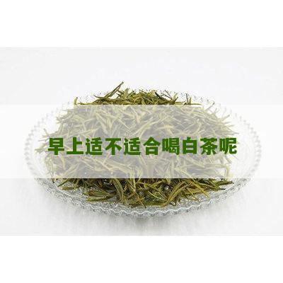 早上适不适合喝白茶呢