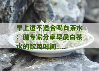 早上适不适合喝白茶水：健专家分享早晨白茶水的饮用时间