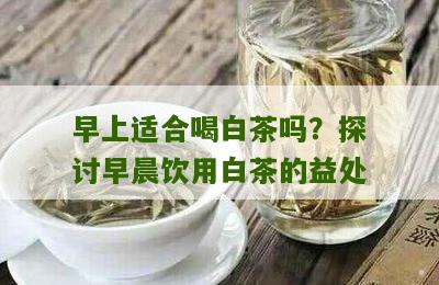 早上适合喝白茶吗？探讨早晨饮用白茶的益处