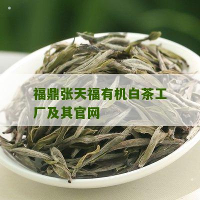 福鼎张天福有机白茶工厂及其官网