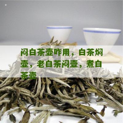 闷白茶壶咋用，白茶焖壶，老白茶闷壶，煮白茶壶