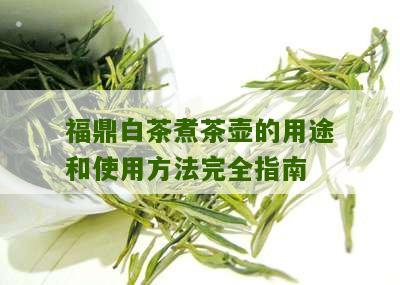 福鼎白茶煮茶壶的用途和使用方法完全指南