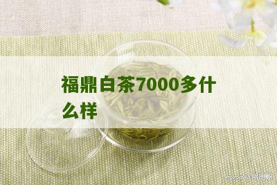 福鼎白茶7000多什么样