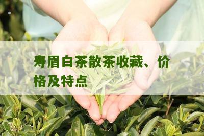 寿眉白茶散茶收藏、价格及特点