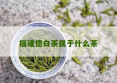 福建德白茶属于什么茶