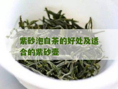 紫砂泡白茶的好处及适合的紫砂壶