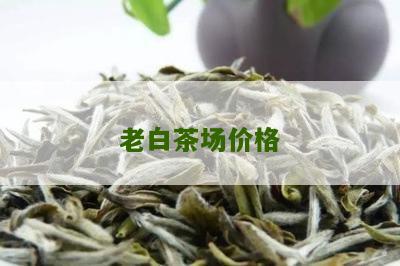 老白茶场价格