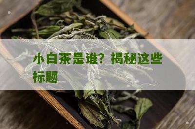 小白茶是谁？揭秘这些标题