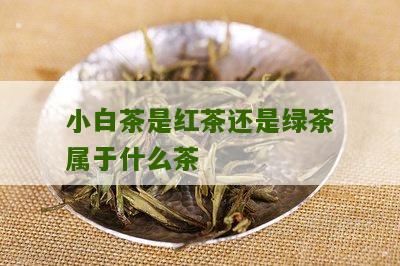 小白茶是红茶还是绿茶属于什么茶