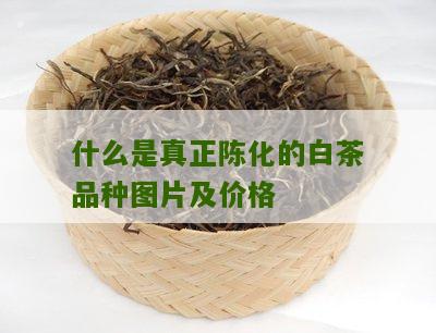 什么是真正陈化的白茶品种图片及价格