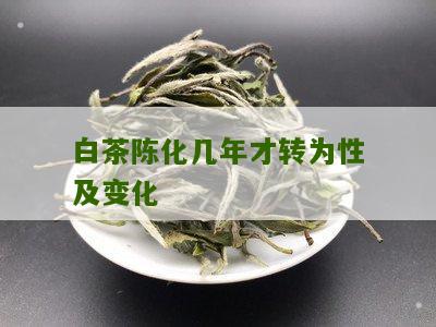 白茶陈化几年才转为性及变化