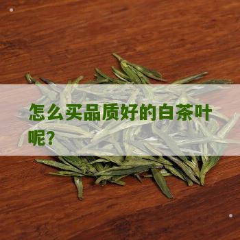 怎么买品质好的白茶叶呢？