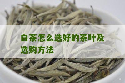 白茶怎么选好的茶叶及选购方法