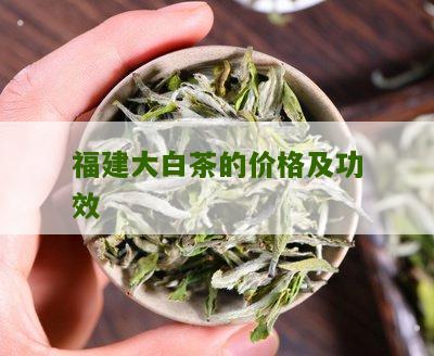 福建大白茶的价格及功效