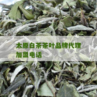 太原白茶茶叶品牌代理加盟电话