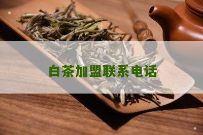 白茶加盟联系电话