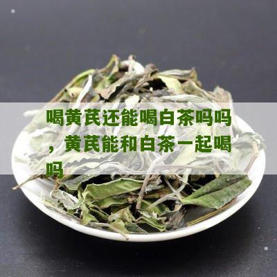 喝黄芪还能喝白茶吗吗，黄芪能和白茶一起喝吗