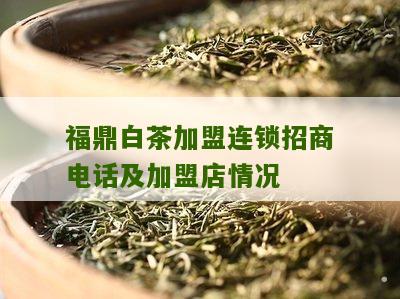 福鼎白茶加盟连锁招商电话及加盟店情况