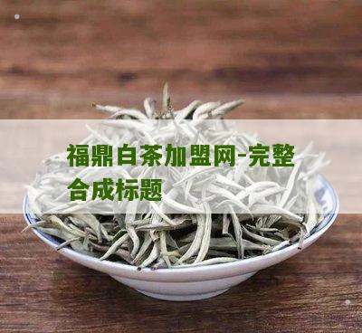 福鼎白茶加盟网-完整合成标题