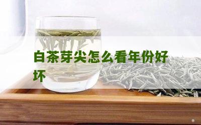 白茶芽尖怎么看年份好坏