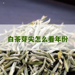 白茶芽尖怎么看年份