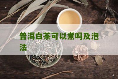 普洱白茶可以煮吗及泡法