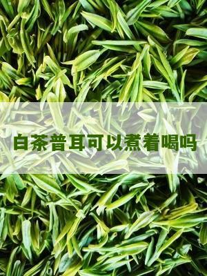 白茶普耳可以煮着喝吗