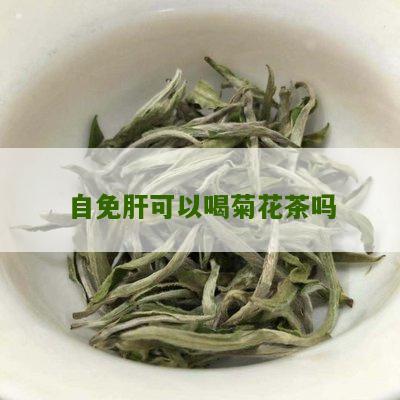 自免肝可以喝菊花茶吗