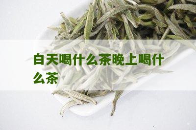 白天喝什么茶晚上喝什么茶